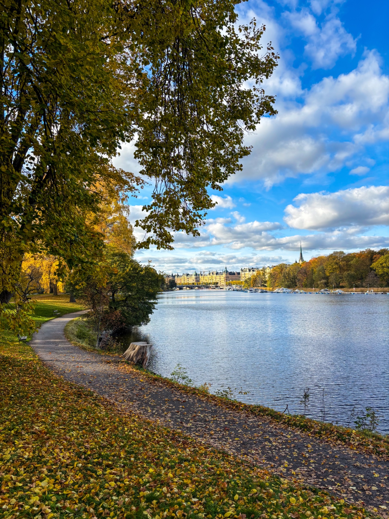 Promenade automnale au bord de l’eau à Stockholm